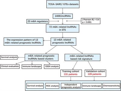 Construction of a Novel Signature and Prediction of the Immune Landscape in Soft Tissue Sarcomas Based on N6-Methylandenosine-Related LncRNAs